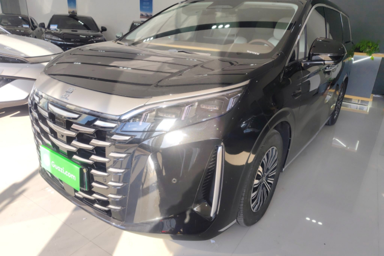 BYD Xia 2024 imagen de coche #2