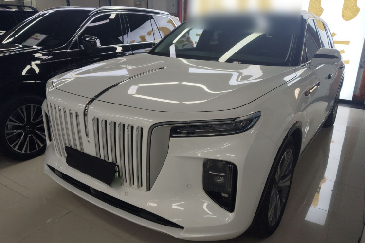 HongQi E-HS9 2023 #2 HongQi E-HS9 2023 car image #2