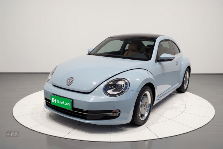 Volkswagen Beetle 2014 immagine di auto #2
