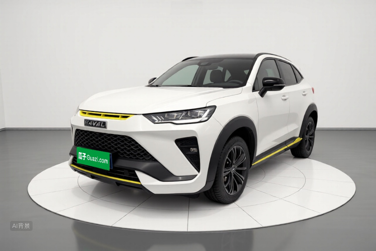 Haval H6S 2022 car image #2