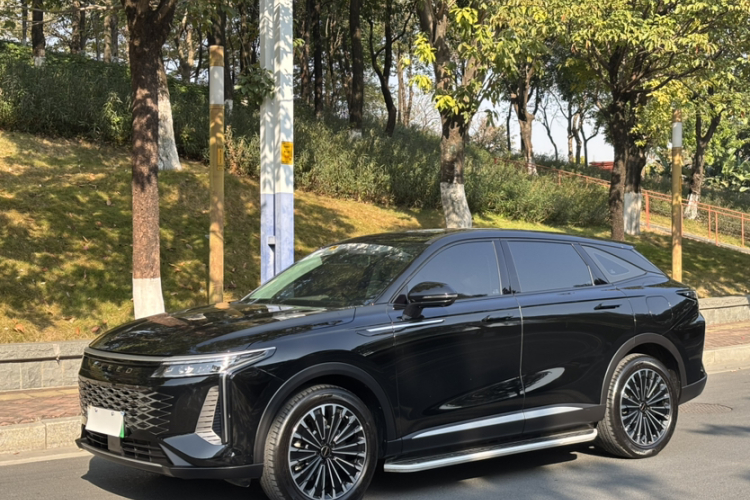 Exceed Yaoguang C-DM 2024 car image #2