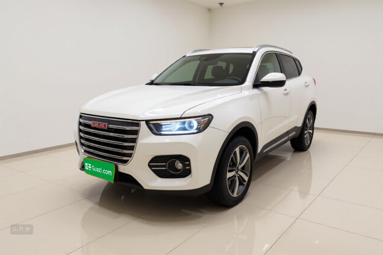 Haval H6 2017 car image #2