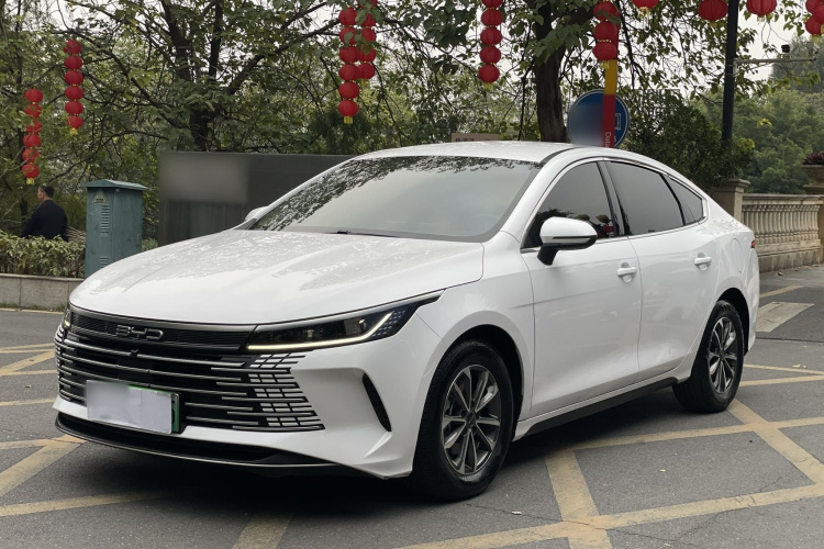 BYD Destroyer 05 2024 car image #2
