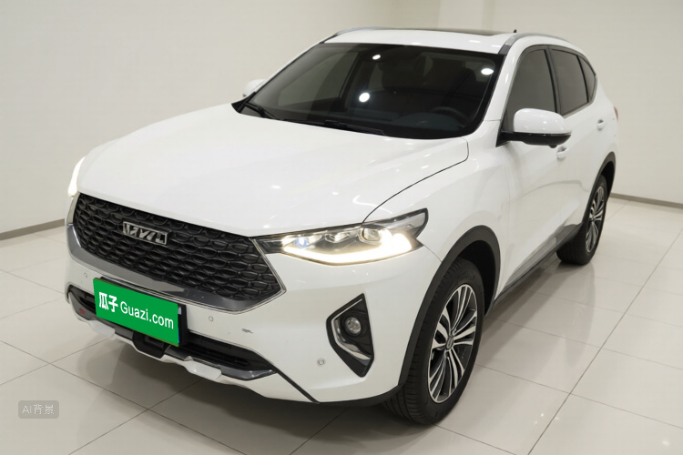 Haval F7 2019 car image #2