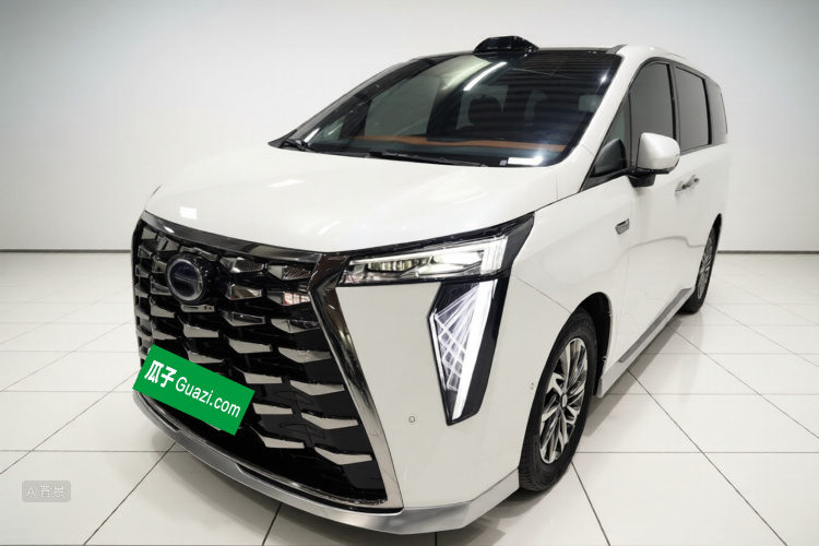 GAC Trumpchi Xiangwang M8 2025 car image #2