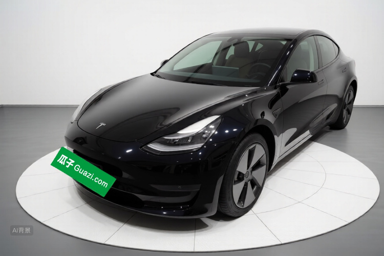 Tesla Model 3 2021 car image #2
