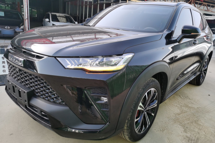 Haval H6S 2023 immagine di auto #2