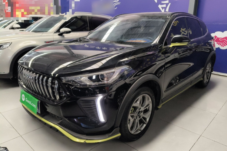 Haval Rabbit 2022 #2 Haval Rabbit 2022 car image #2