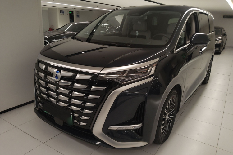 腾势 腾势D9 2023 汽车图片 #2