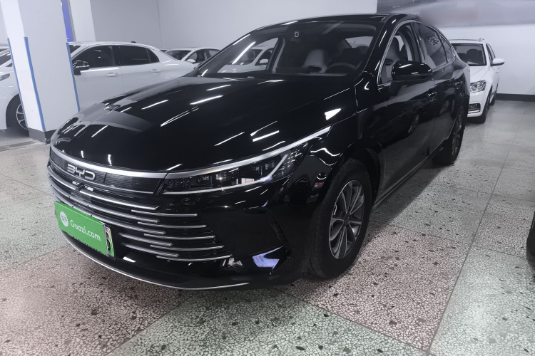 BYD Destroyer 05 2024 car image #2