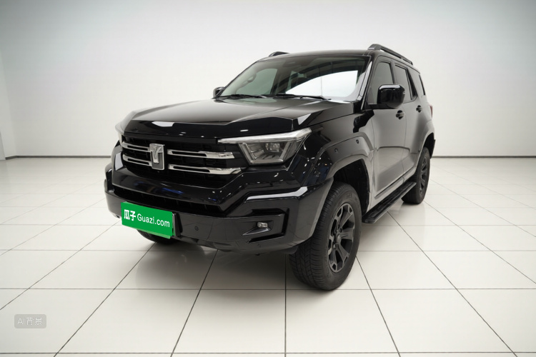 Tank 400 New Energy 2024 car image #2