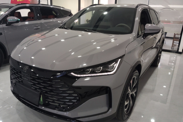 BYD Tang New Energy 2024 car image #2