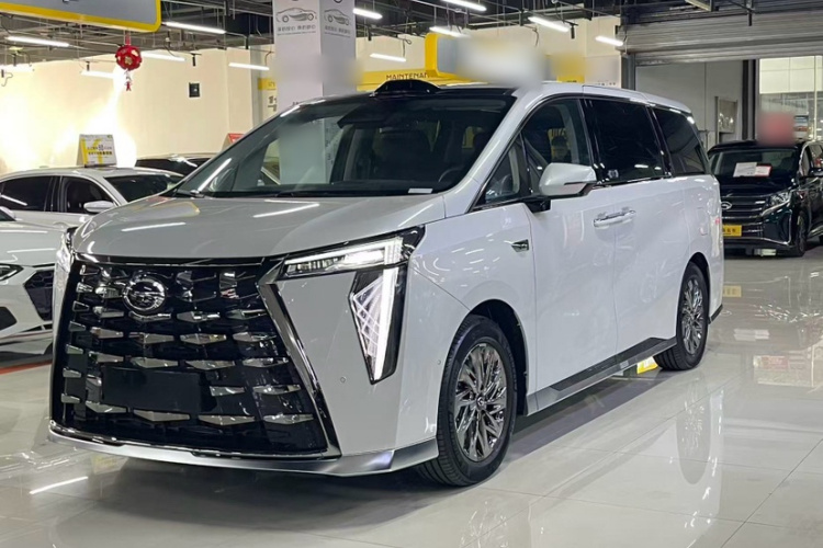 GAC Trumpchi Xiangwang M8 car image #2