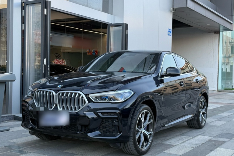 BMW X6 2021 #2 BMW X6 2021 car image #2