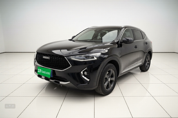 Haval F7 2019 car image #2