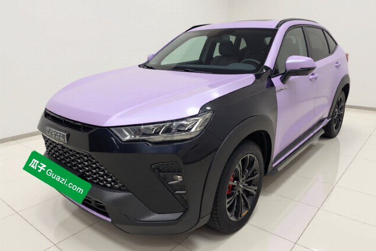 Haval H6S 2022 immagine di auto #2