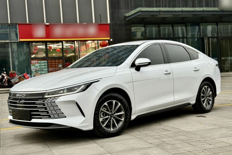 BYD Destroyer 05 2024 car image #2