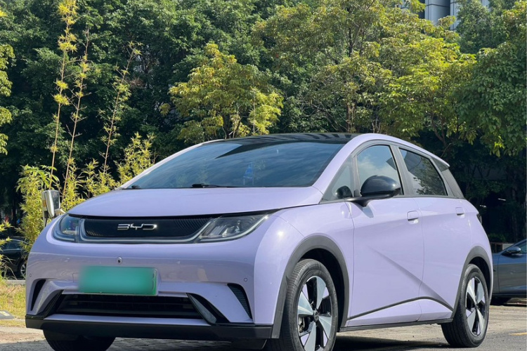 BYD Dolphin 2023 car image #2
