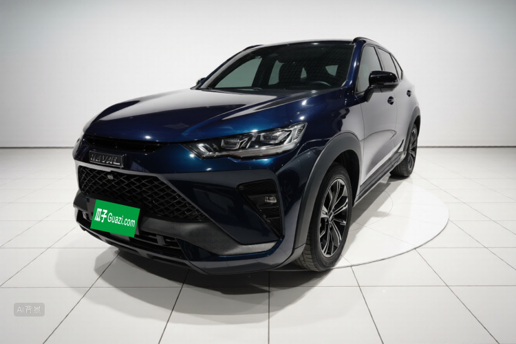 Haval H6S 2022 immagine di auto #2