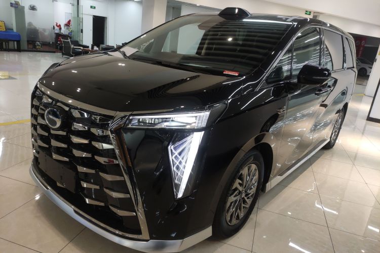 GAC Trumpchi Xiangwang M8 2025 car image #2