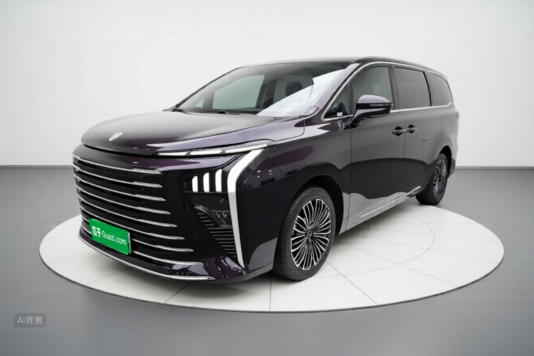 Forthing V9 2025 car image #2