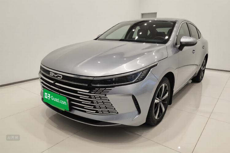 BYD Destroyer 05 2024 imagem de carro #2