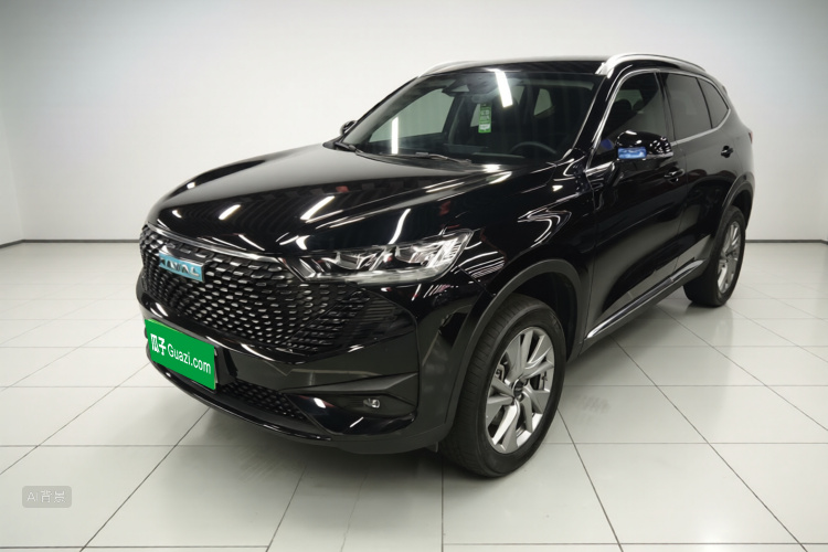 Haval H6 2022 car image #2