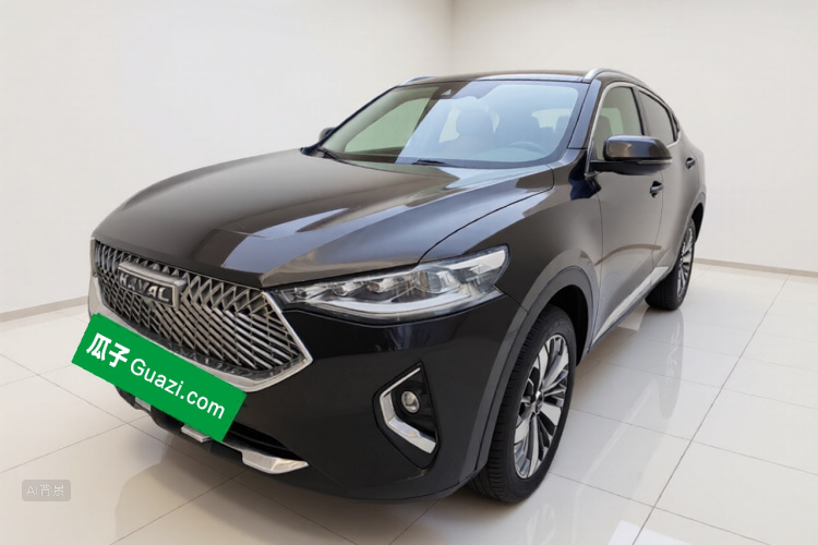 Haval F7x 2021 immagine di auto #2