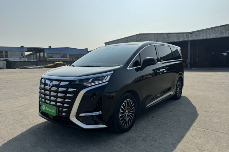 Denza D9 2025 car image #2