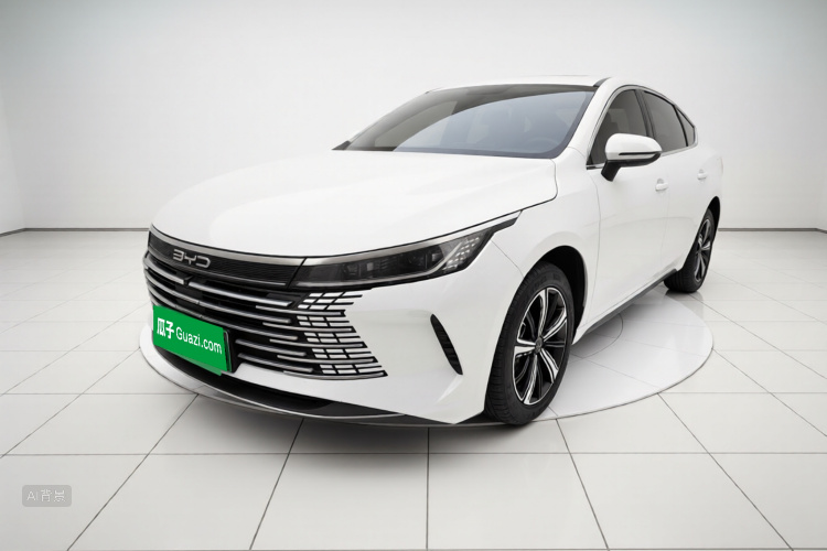 比亚迪 驱逐舰05 2024 汽车图片 #2