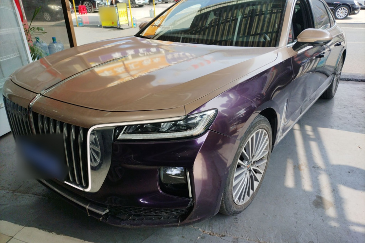 HongQi H9 2022 immagine di auto #2