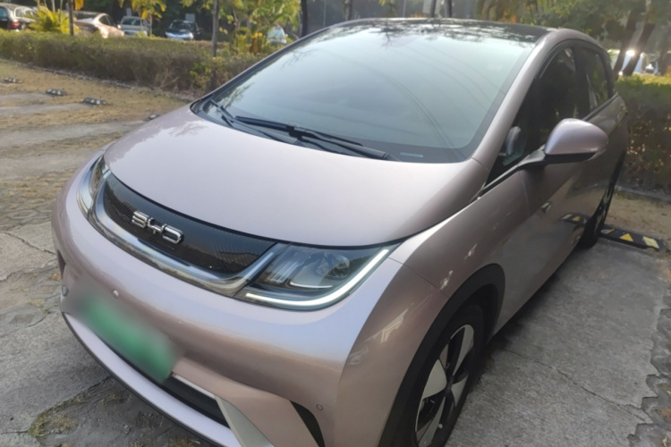 BYD Dolphin 2023 car image #2