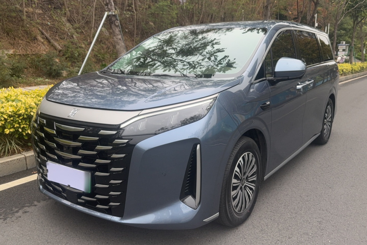 BYD Xia 2025 imagen de coche #2