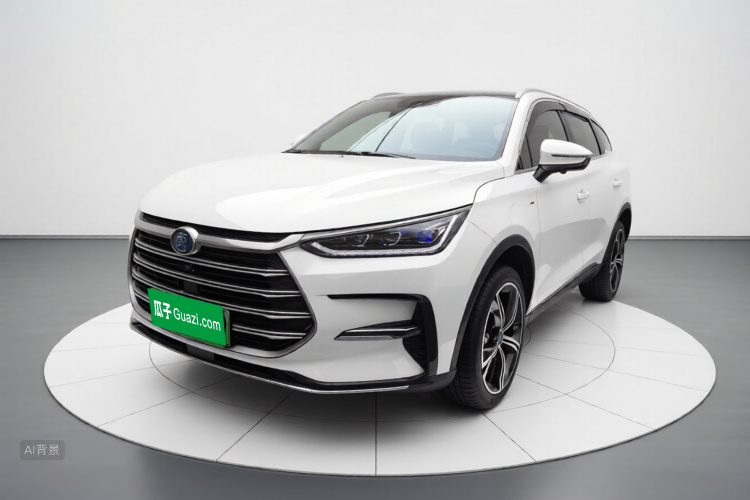 BYD Tang New Energy 2021 car image #2