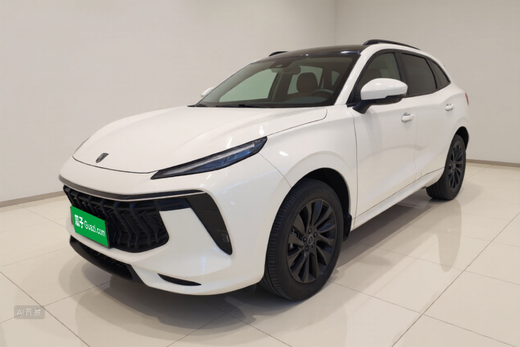 Forthing T5 EVO 2021 car image #2