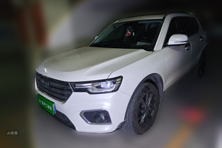 Haval H7 2021 car image #2