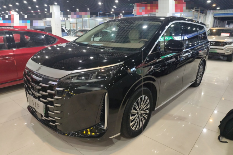 BYD Xia 2024 imagen de coche #2