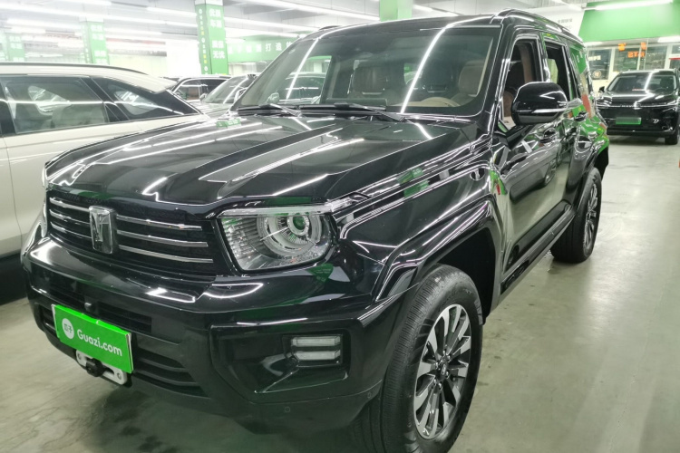 Tank 700 New Energy 2024 car image #2