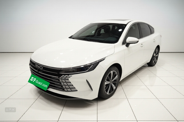 BYD Destroyer 05 2023 car image #2