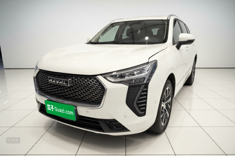 Haval Jolion 2021 car image #2