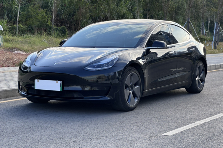 Tesla Model 3 2020 car image #2