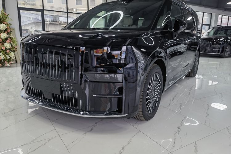 极氪 极氪009 汽车图片 #2