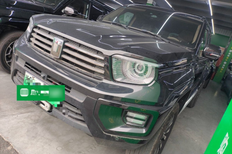 Tank 700 New Energy 2024 immagine di auto #2