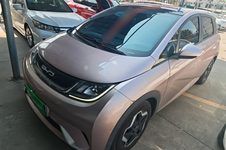 BYD Dolphin 2022 #2 BYD Dolphin 2022 car image #2