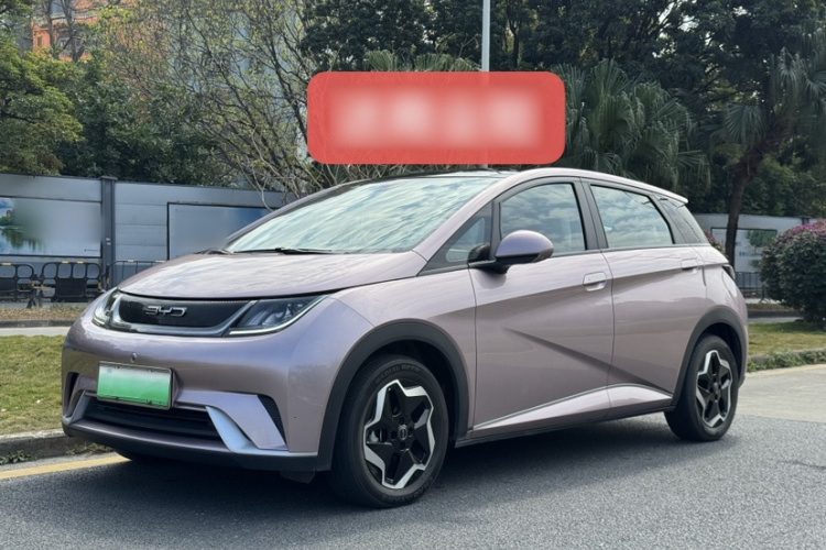 BYD Dolphin 2023 car image #2