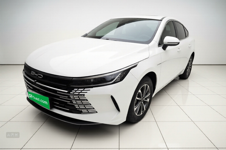 BYD Destroyer 05 2024 صورة سيارة #2