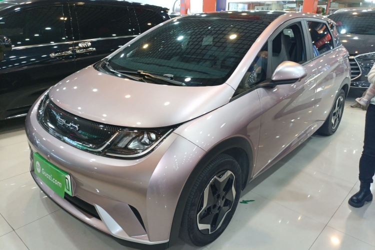 BYD Dolphin 2022 #2 BYD Dolphin 2022 car image #2