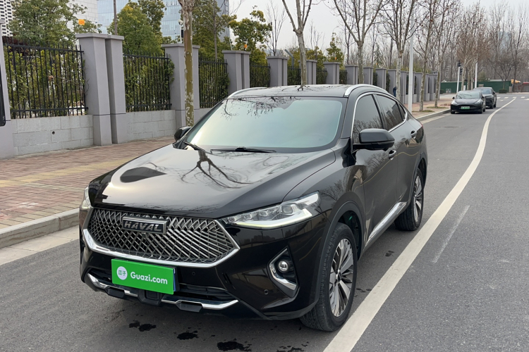 Haval F7x 2020 car image #2