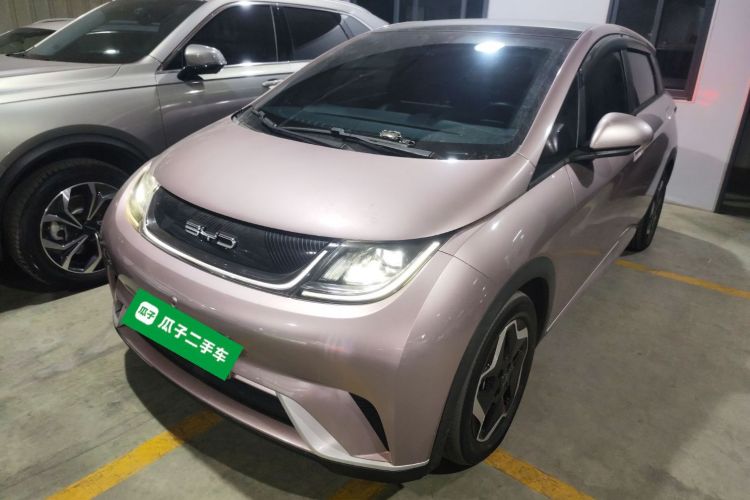 BYD Dolphin 2022 #2 BYD Dolphin 2022 car image #2