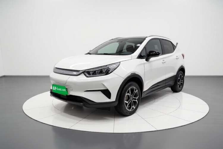 BYD Yuan Pro 2022 immagine di auto #2